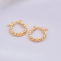 Twisted Hoop Earrings